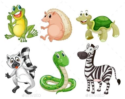 different kinds of animals in the wild on a white background - animals ...