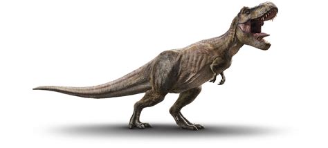 User blog:JacobBright/Tyrannosaurus or simply T-Rex | Jurassic Park ...