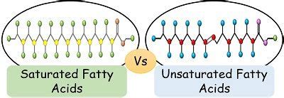 Difference Between Saturated and Unsaturated Fatty Acids (with ...