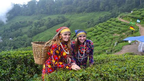 Darjeeling 7 Points Full Day Tour - Best Day Trips from Darjeeling