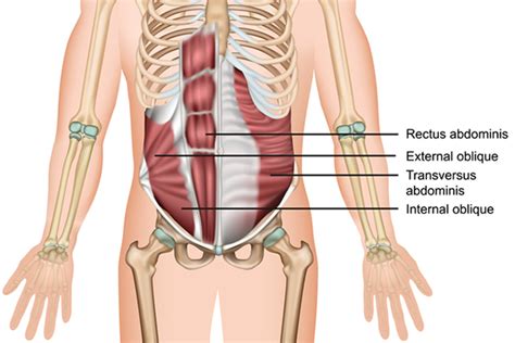 How to Do a Forearm Plank for Beginners – Healmyselfnow