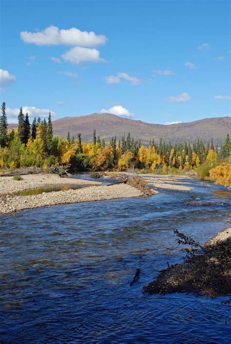 Chena River near Fairbanks, #Alaska // #Travel | Alaska Things to Do ...