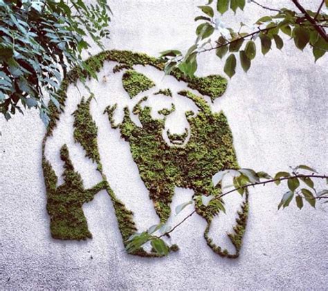 13 Incredible Examples of Moss Graffiti and How to Create Your Own