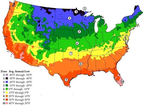 Here is the BEST Time to Plant Lemon Verbena in Hardiness Zone 2 (2023 ...