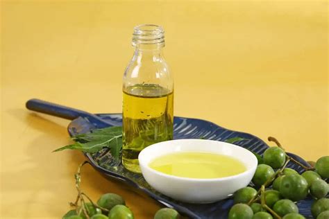 neem oil spray recipe Archives - Grower Today