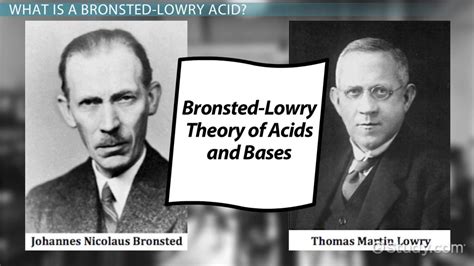 Bronsted-Lowry Acid | Definition, Theory & Examples - Lesson | Study.com