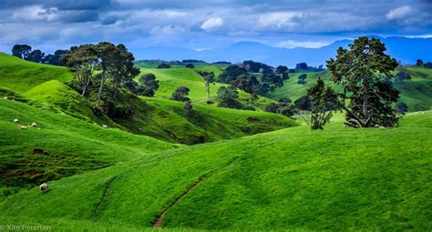 The Perfect Landscape for a Hobbit in New Zealand