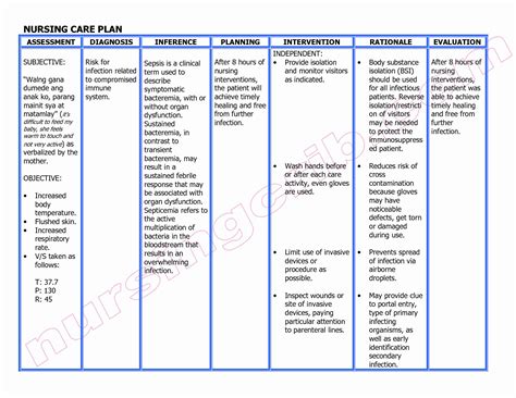 Geriatric Nursing Care Plan Examples