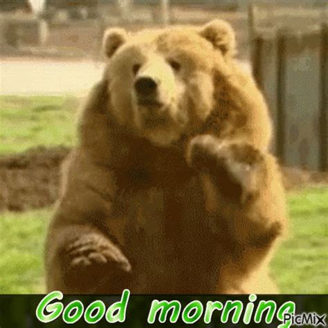 Bear Waving Pictures, Photos, and Images for Facebook, Tumblr ...