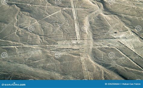 The Pelican Nazca Lines Aerial View, Peru Editorial Stock Image - Image ...