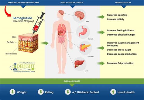 Elementary Facts About Semaglutide (Wegovy or Ozempic) as Effective in ...