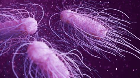 CDC: Salmonella Outbreak With 125 Sick In 15 States, What Is The Cause?