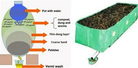 Vermiwash Preparation Process, Benefits, Cost | Agri Farming