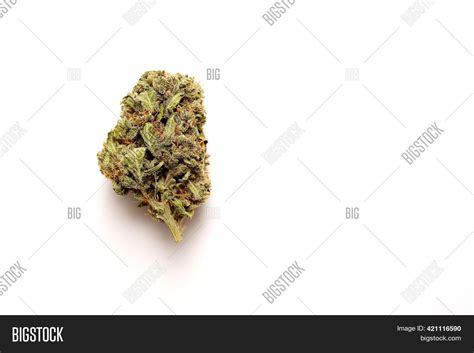 Marijuana Buds Closeup Image & Photo (Free Trial) | Bigstock