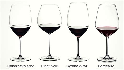 The Beginner Guide to Different Types of Wine Glasses - Vintage Roots