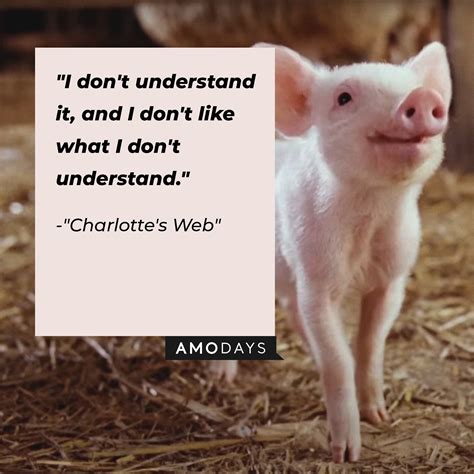 34 Charlotte’s Web Quotes from the Story That Never Gets Old