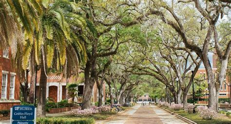 University of Florida - ACE