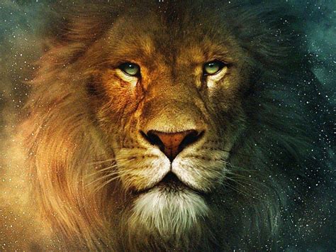 Lion Face Wallpapers - Top Free Lion Face Backgrounds - WallpaperAccess