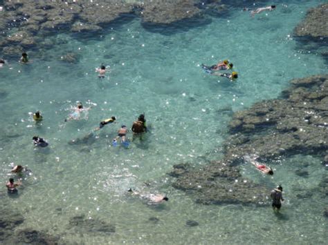 Snorkeling near Waikiki Beach in Hawaii