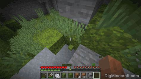 Minecraft Moss Block Texture