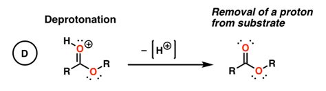 Carbonyl Chemistry: Learn Six Mechanisms For the Price Of One – Master ...