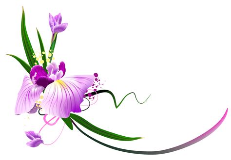 Vines clipart purple flower, Vines purple flower Transparent FREE for ...