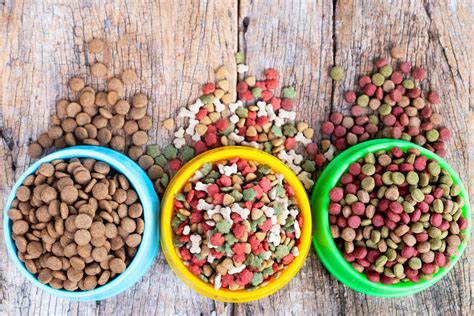 Pet Foods Market Booming Segments; Investors Seeking Astonishing Growth ...