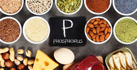 16 Foods High in Phosphorus and Their Health Benefits - Dr. Axe