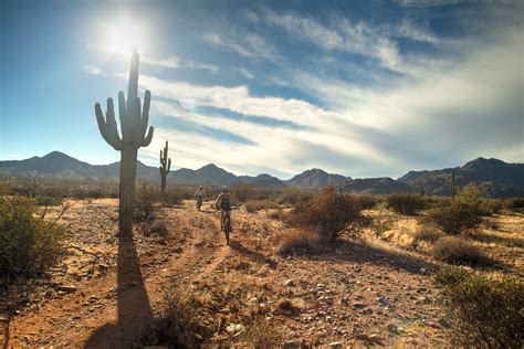 Arizona's Sonoran Desert Photo Gallery - Rim Tours