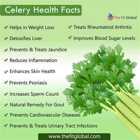 11 Powerful Health Benefits of Celery & Nutrition Facts | Celery ...