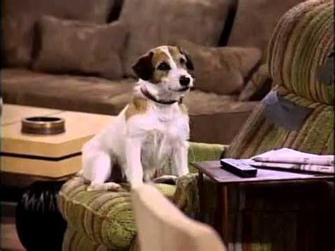 “She was always biting us”: 6 TV pets hated by their castmates | Cool ...