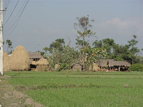 Info Nepal: Terai Region Of Nepal