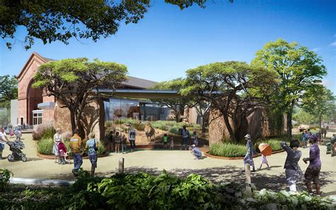 Here's What Lincoln Park Zoo's Lion Habitat Will Look Like Once Its $40 ...