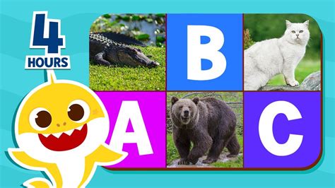 Learn ABC with Baby Shark 🦈 | Alphabets for kids | Study in English ...