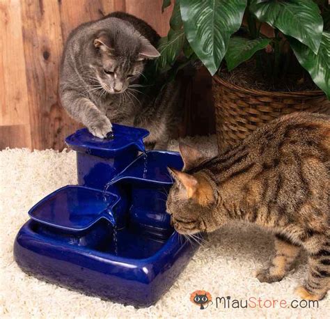 Cat water fountains - Ceramic drinking fountain for pets UK