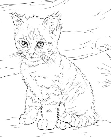 Cat Coloring Pages for Adults - Best Coloring Pages For Kids | Cat ...