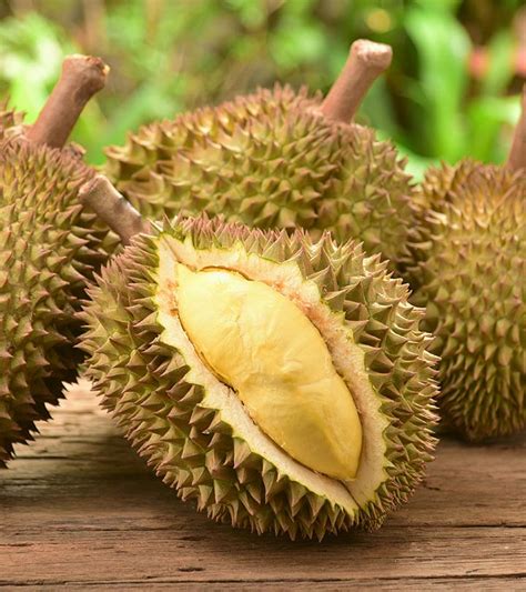 10 Amazing Benefits and Uses of Durian Fruit