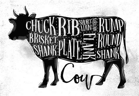 Beef Cuts Illustration - Luceys Good Food