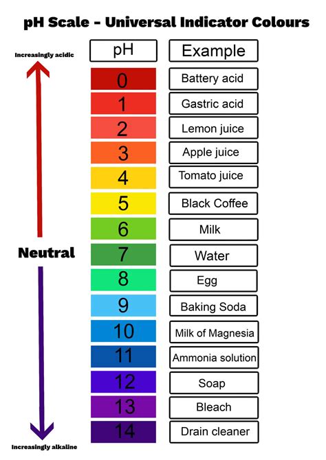 Ph Scale Examples For Kids