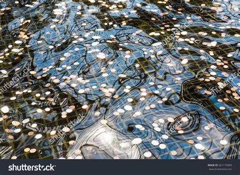 610 Coins In A Wishing Well Images, Stock Photos & Vectors | Shutterstock