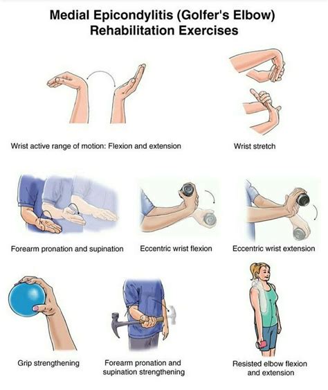 Medial Epicondylitis (Golfer's Elbow) Exercises - Forget-Me-Knot