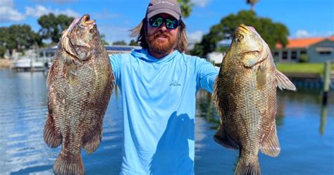 Everything Tripletail [Tips, Tactics, & Tournament!]