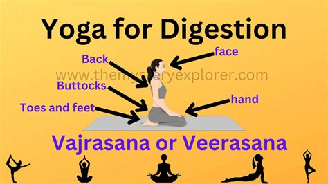 Yoga For Digestion – The Mystery Explorer