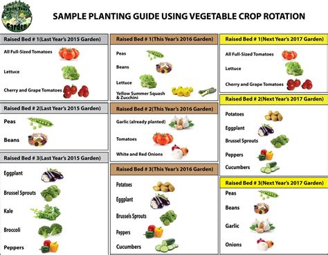 Vegetable families, soil depletion and crop rotation infographic