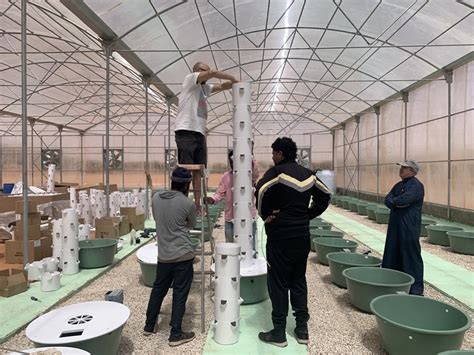 Aeroponic Farm in Saudi Arabia | Tower Farm in Saudi Arabia