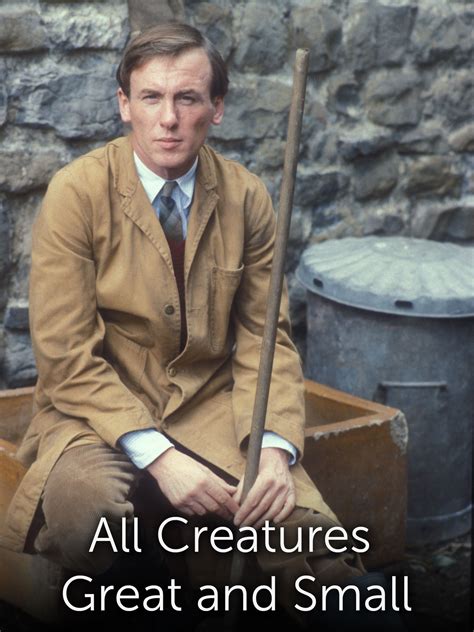 All Creatures Great And Small Poster