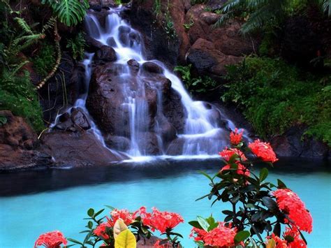 Tropical Waterfalls Wallpapers - Top Free Tropical Waterfalls ...