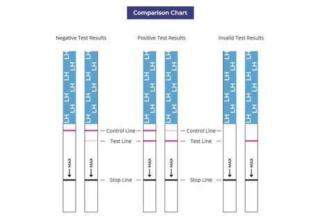 Ovulation Test Strip Instructions to Detect Ovulation ...