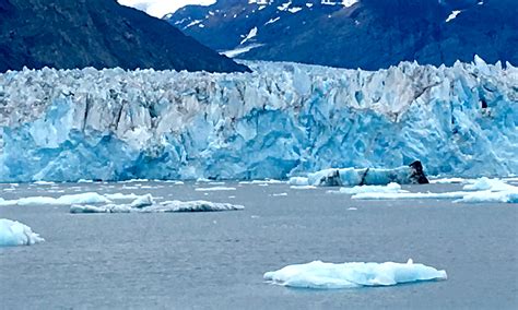 High Holy Day Lessons from an Alaskan Glacier - Rabbi Paul Kipnes