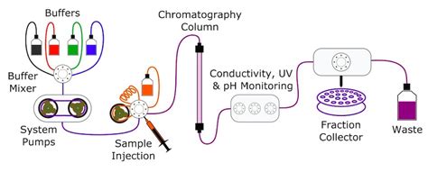 FPLC Explained - Approach Labs